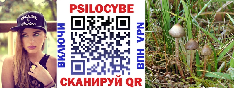 где найти наркотики  Комсомольск-на-Амуре  Псилоцибиновые грибы Magic Shrooms 